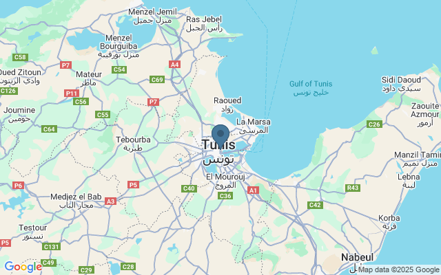 Tunis (Tunesië): informatie & reizen